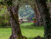 326914e2-0bf0-e511-9434-0050568372f2_40_image