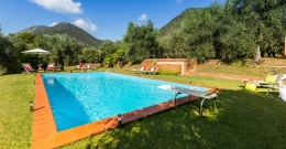 F1D26C59-F85E-E111-B56D-005056B504EC 8 image (1)